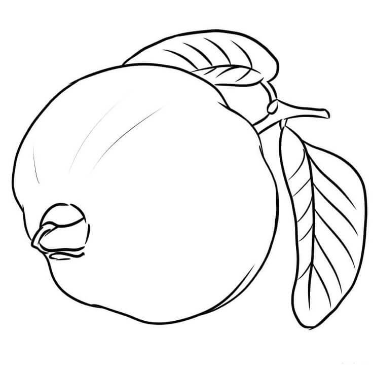 dibujo guayaba dulce para colorear