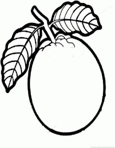 dibujo guayaba impresionante para colorear