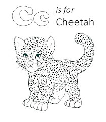 cheetah es para adultos para imprimir y colorear