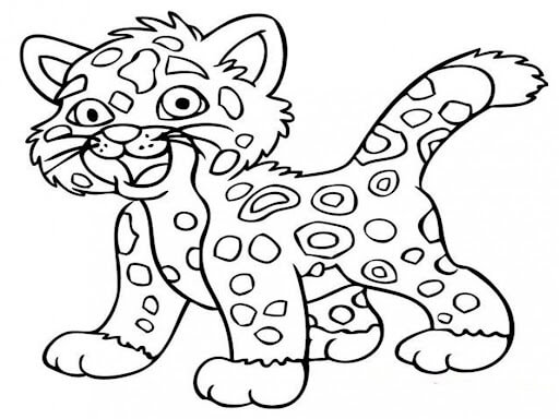Guepardo para Colorear