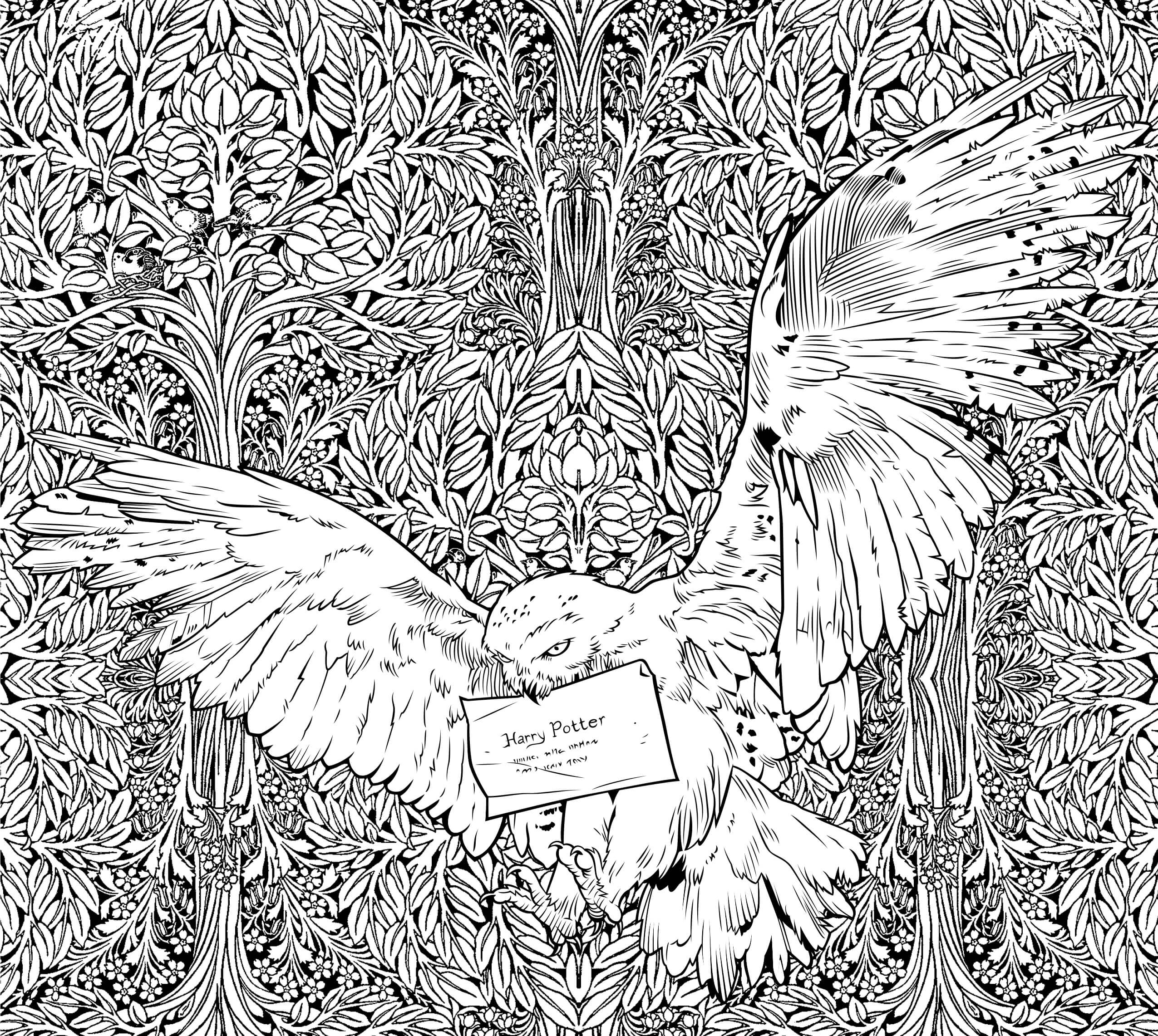 Dibujo de Hedwig de Dumbledore para Colorear y Imprimir