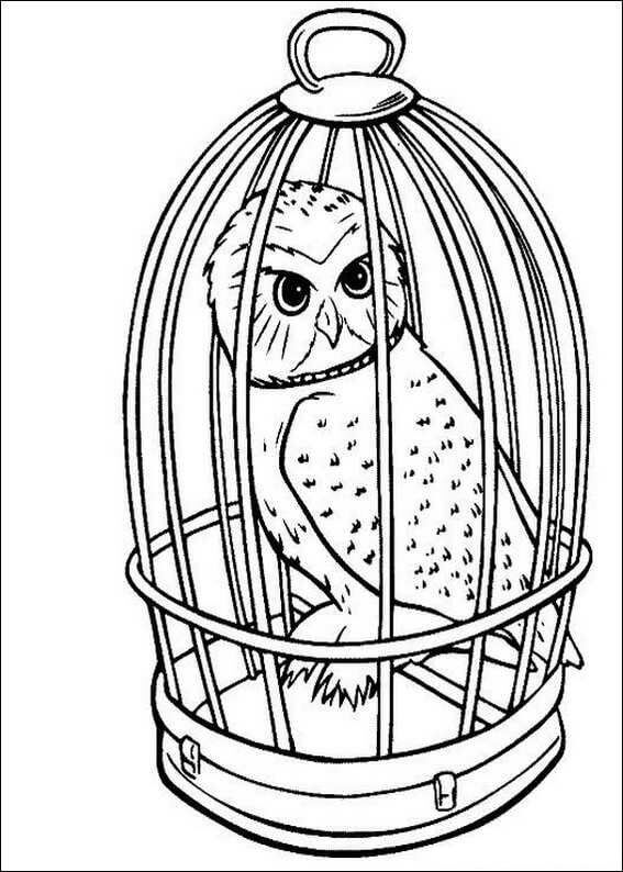 Dibujo de Hedwig En El Granero para Colorear y Imprimir