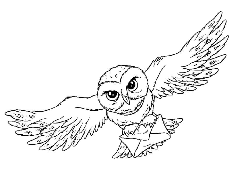 Dibujo de Hedwig Volando para Colorear y Imprimir