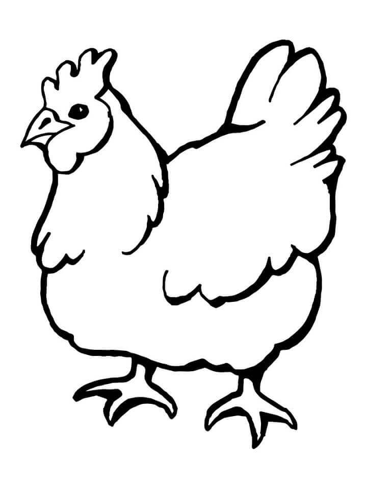 Dibujo de Gallina Doméstica para Colorear y Imprimir
