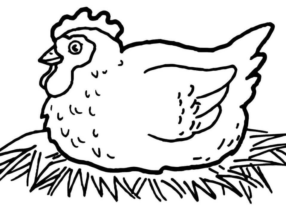 Dibujo de Gallina En El Nido para Colorear y Imprimir