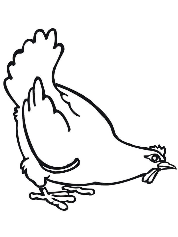 Dibujo de Gallina Gorda para Colorear y Imprimir