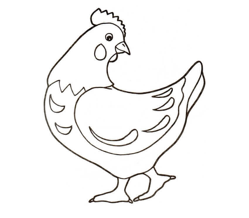 Dibujo de Gallina Normal para Colorear y Imprimir