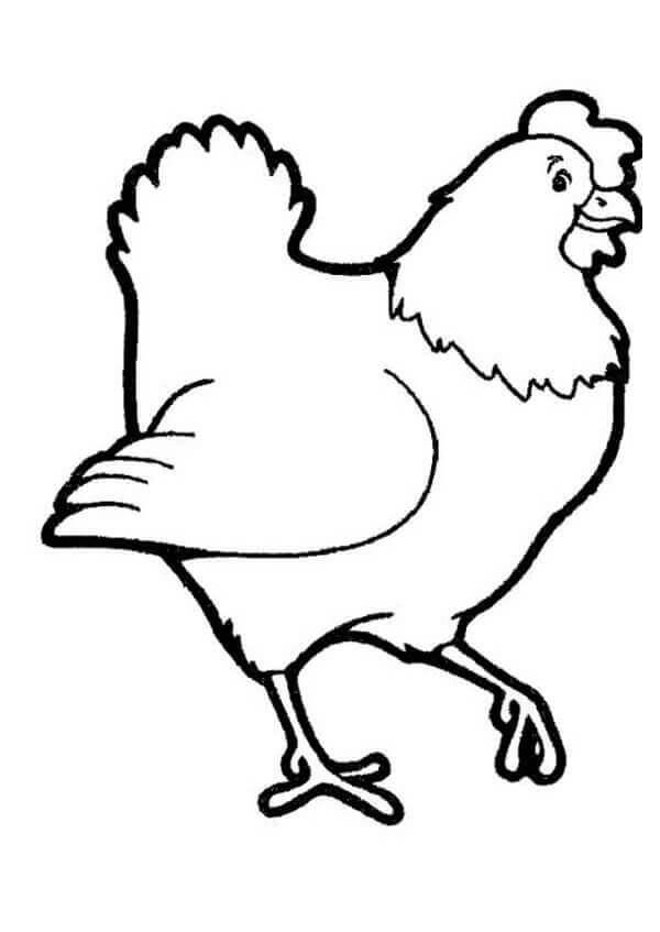 Dibujo de Gallina Simple para Colorear y Imprimir