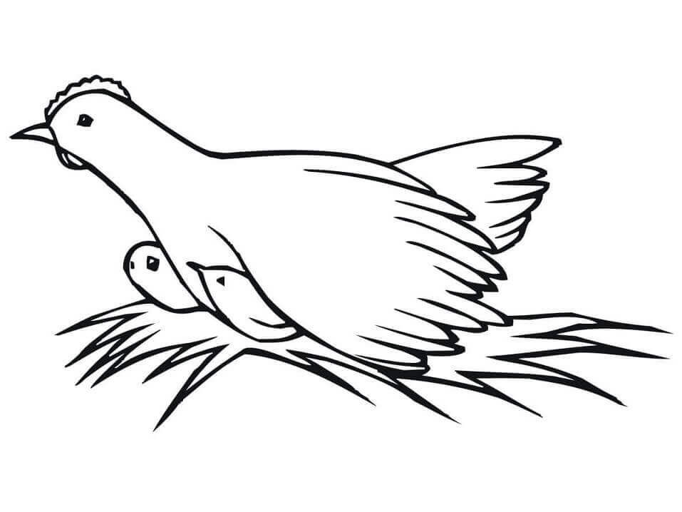 Dibujo de Gallina y Pollitos 1 para Colorear y Imprimir