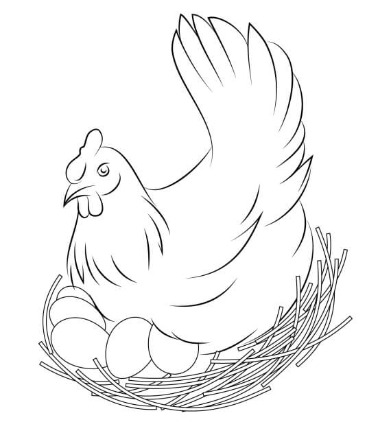 Dibujo de Gallina y Sus Huevos para Colorear y Imprimir