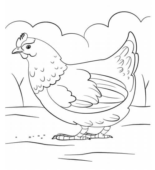 Dibujo de Una Gallina para Colorear y Imprimir