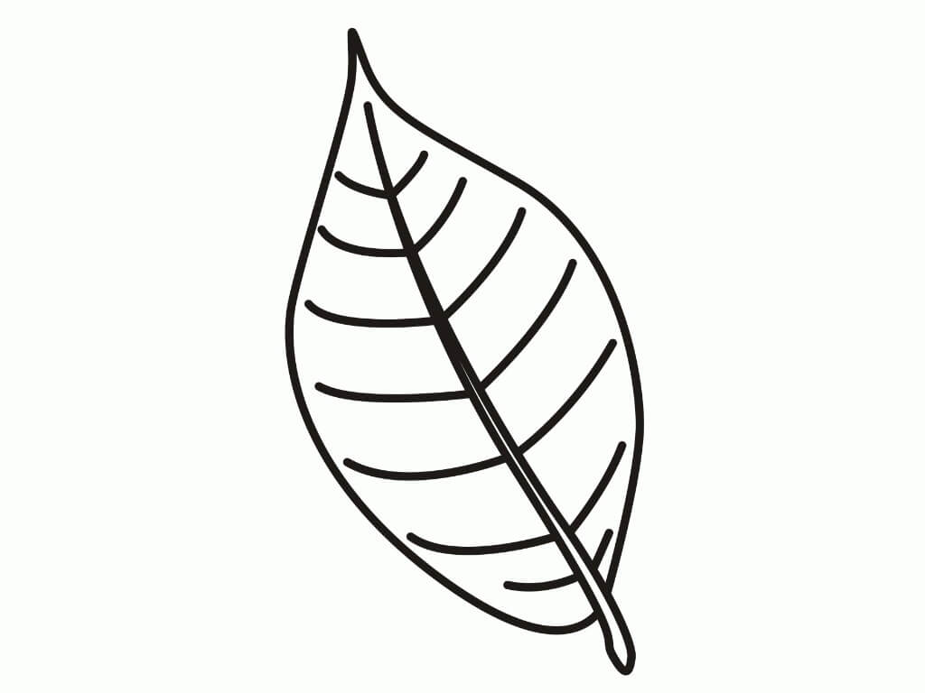 Dibujo de Bonita Hoja para Colorear y Imprimir
