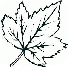 Dibujo de Dibujo de Hoja para Colorear y Imprimir