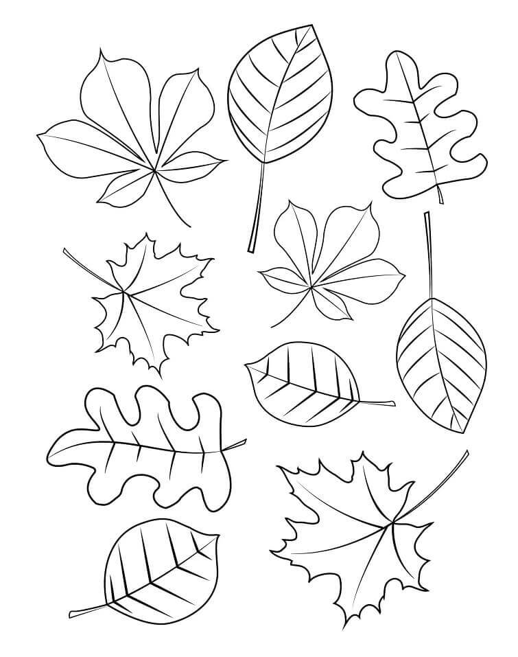 Dibujo de Diez Hojas de Otoño para Colorear y Imprimir