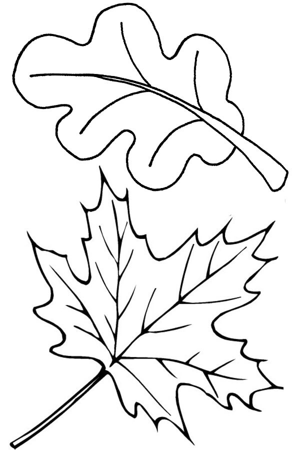 Dibujo de dos Hojas de Otoño para Colorear y Imprimir