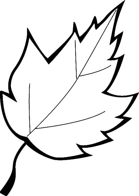 Dibujo de Gran Hoja para Colorear y Imprimir
