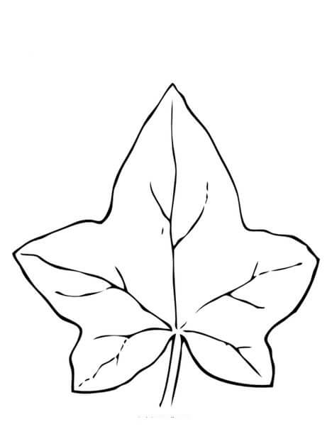 Dibujo de Hermosa Hoja de Otoño para Colorear y Imprimir
