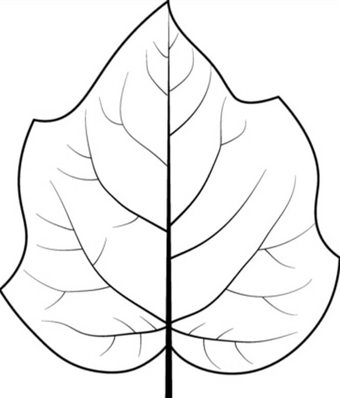 Dibujo de Hoja de Árbol Dedalera para Colorear y Imprimir