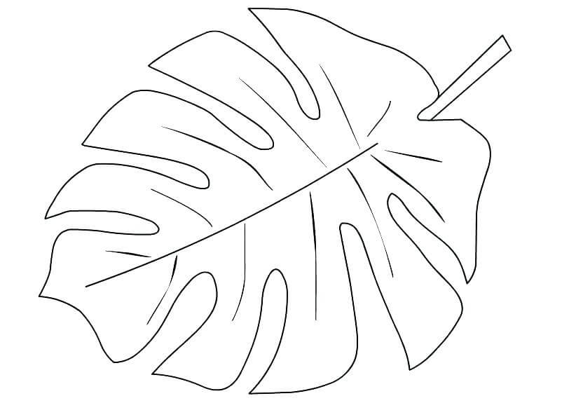 Dibujo de Hoja de Palma para Colorear y Imprimir