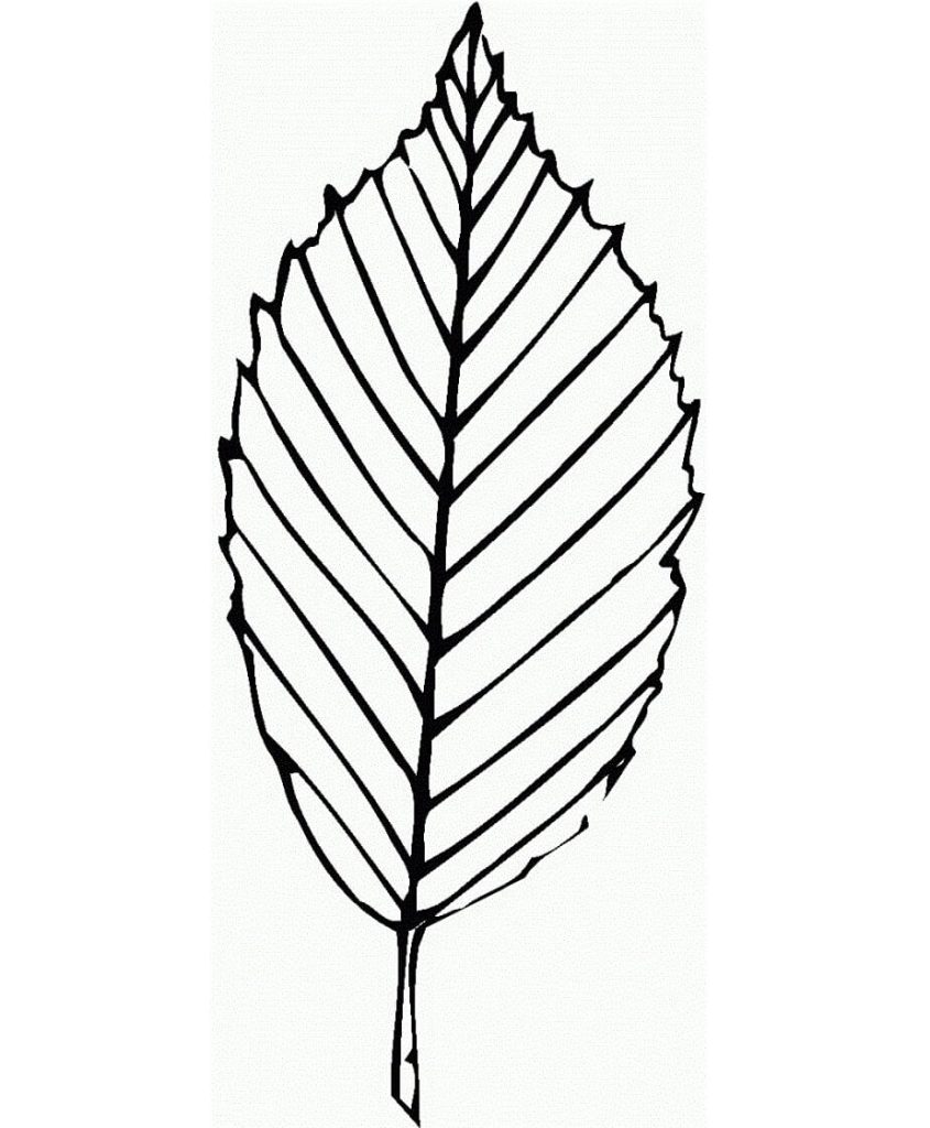 Dibujo de Hoja En Línea para Colorear y Imprimir
