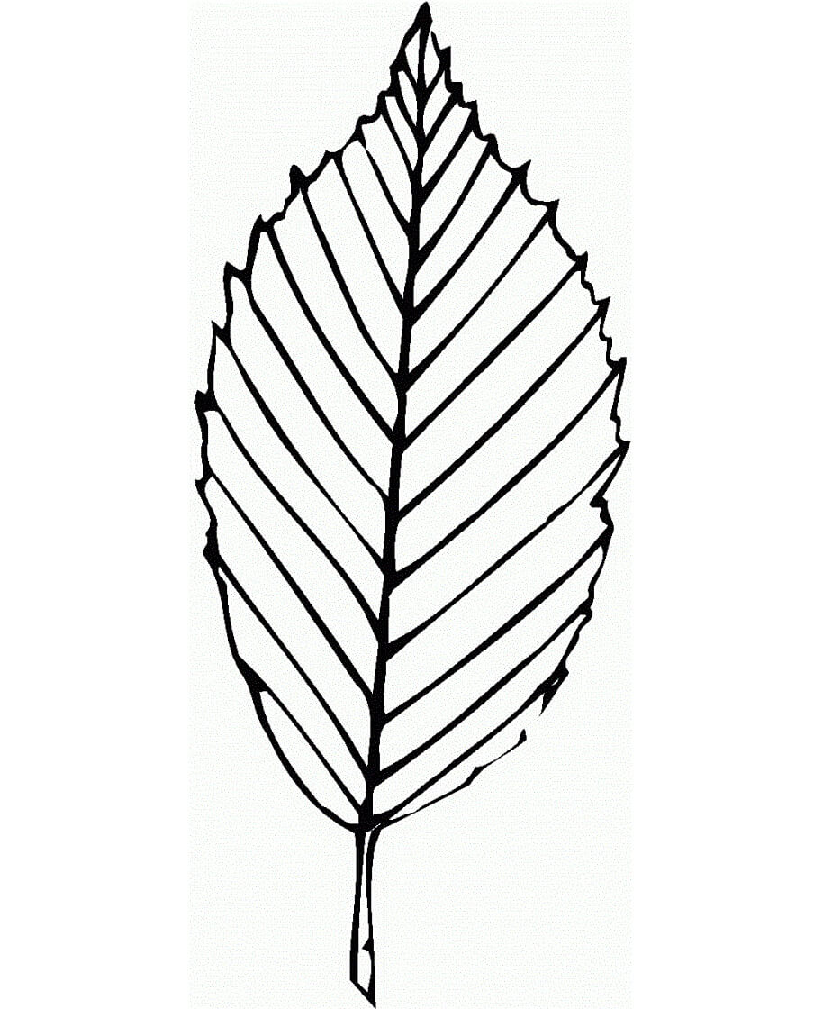 Dibujo de Hoja En Línea para Colorear y Imprimir