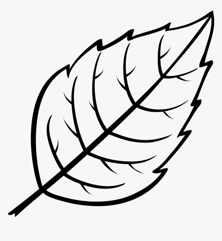 Dibujo de Hoja Normal para Colorear y Imprimir
