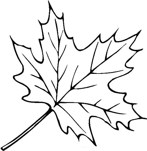 Dibujo de Hoja Perfecta para Colorear y Imprimir