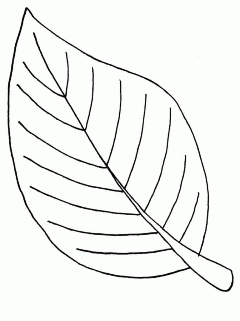 Dibujo de Hoja Relacionada para Colorear y Imprimir