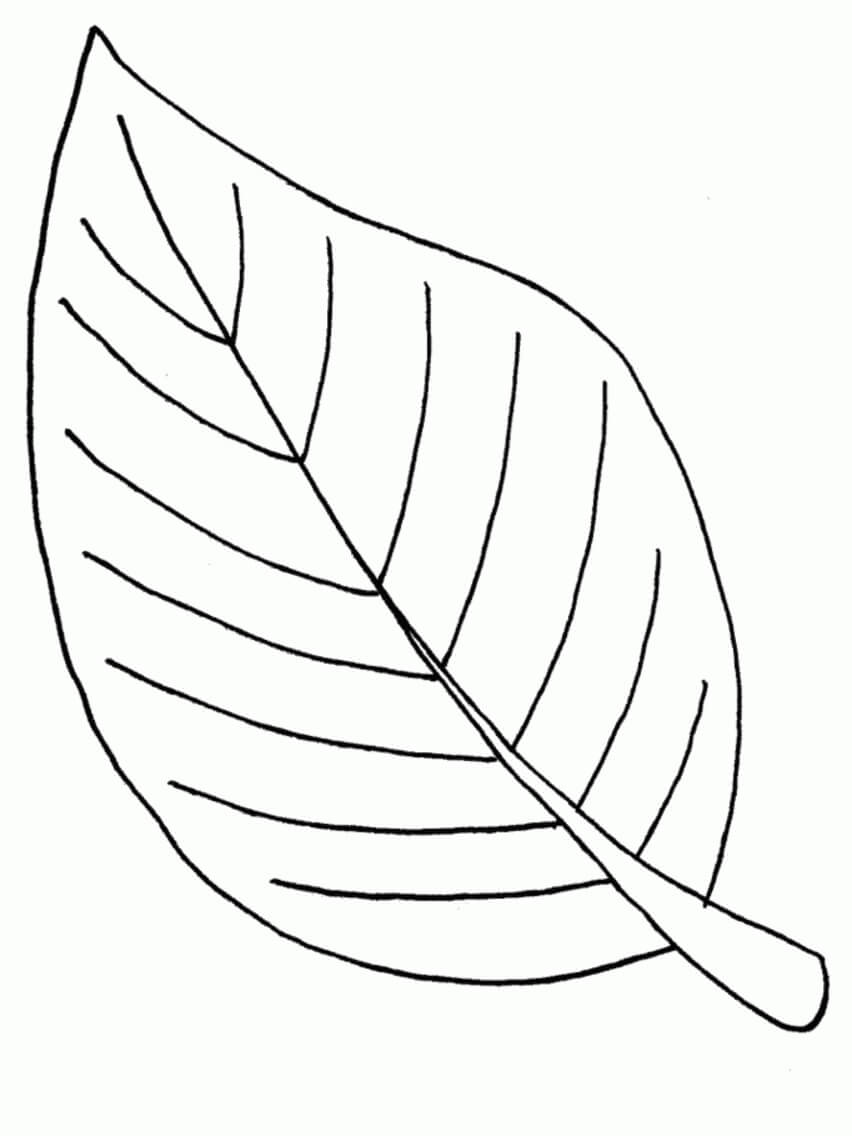 Dibujo de Hoja Relacionada para Colorear y Imprimir