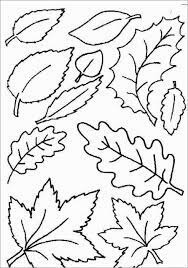 Dibujo de Hojas de Otoño 5 para Colorear y Imprimir