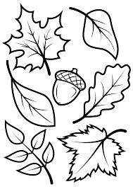 Dibujo de Hojas de Otoño y Bellota 1 para Colorear y Imprimir