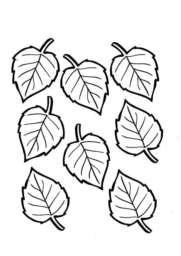 Dibujo de Ocho Hojas para Colorear y Imprimir