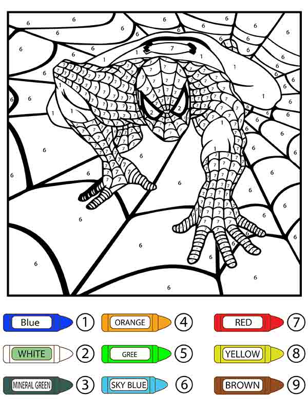 Dibujo de Hombre Araña Arrastrandose En La Telarana Colorier por Número Pagina para Colorear para Colorear y Imprimir
