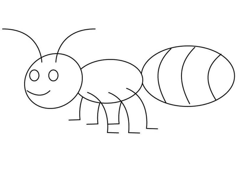 dibujo buena hormiga para colorear