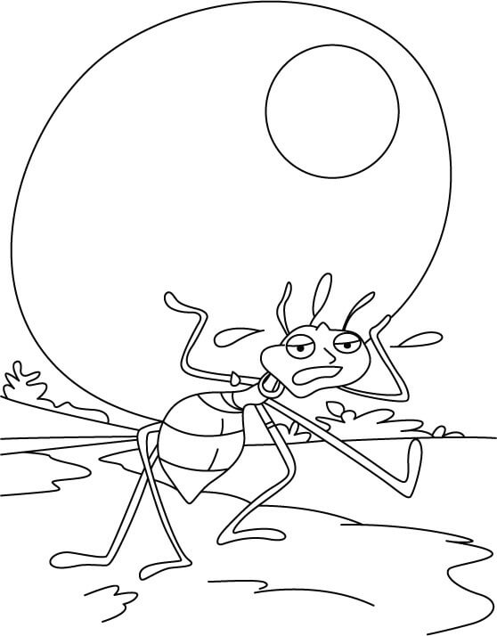 dibujo fotos gratis de hormigas para colorear