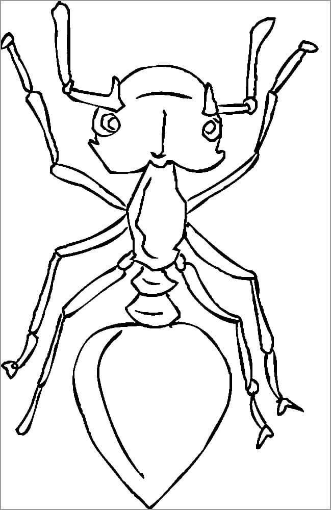 dibujo hormiga adorable para colorear