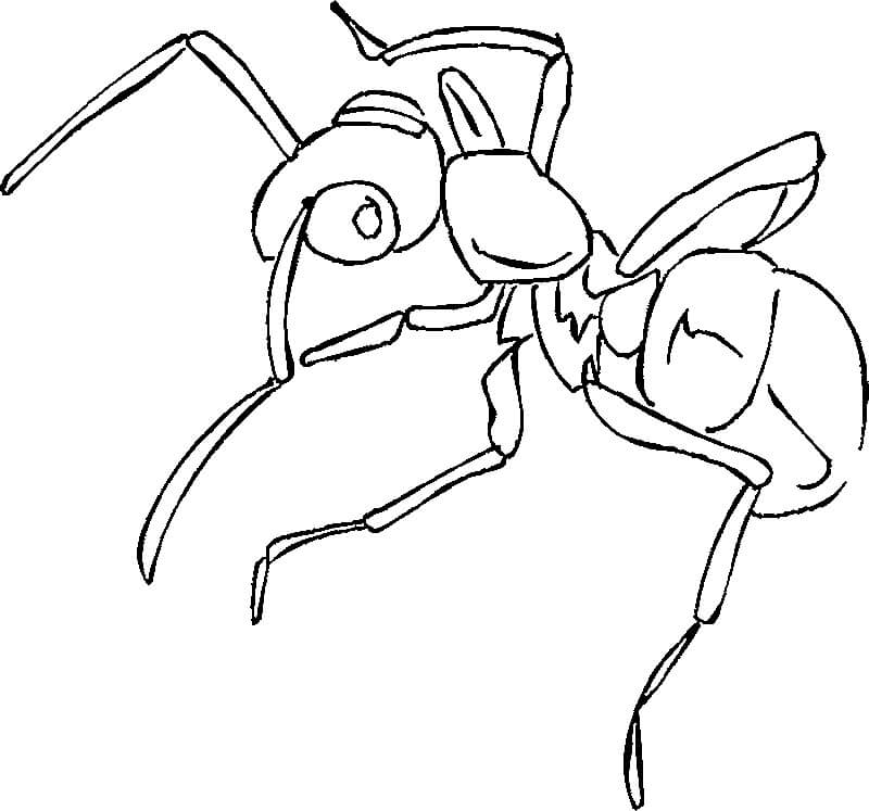 dibujo hormiga agradable para colorear