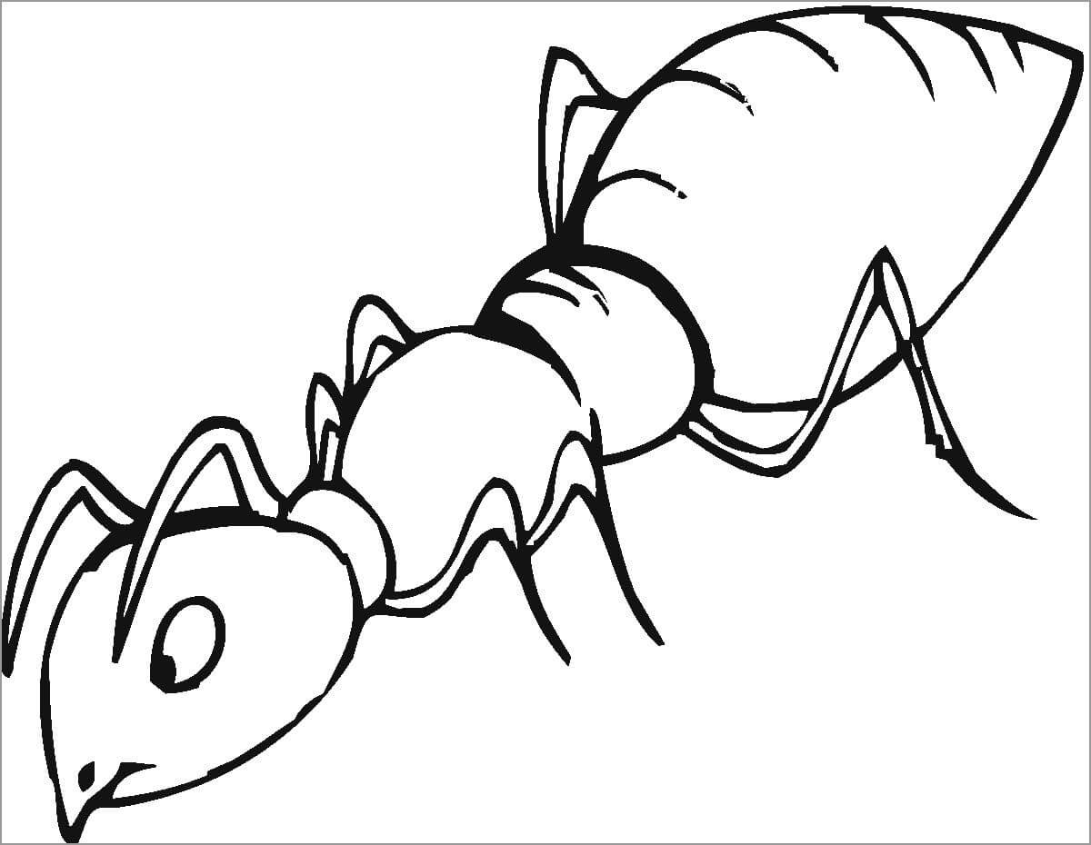 dibujo hormiga asombrosa para colorear