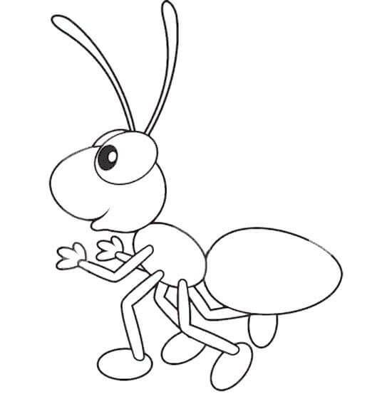 dibujo hormiga basica para colorear