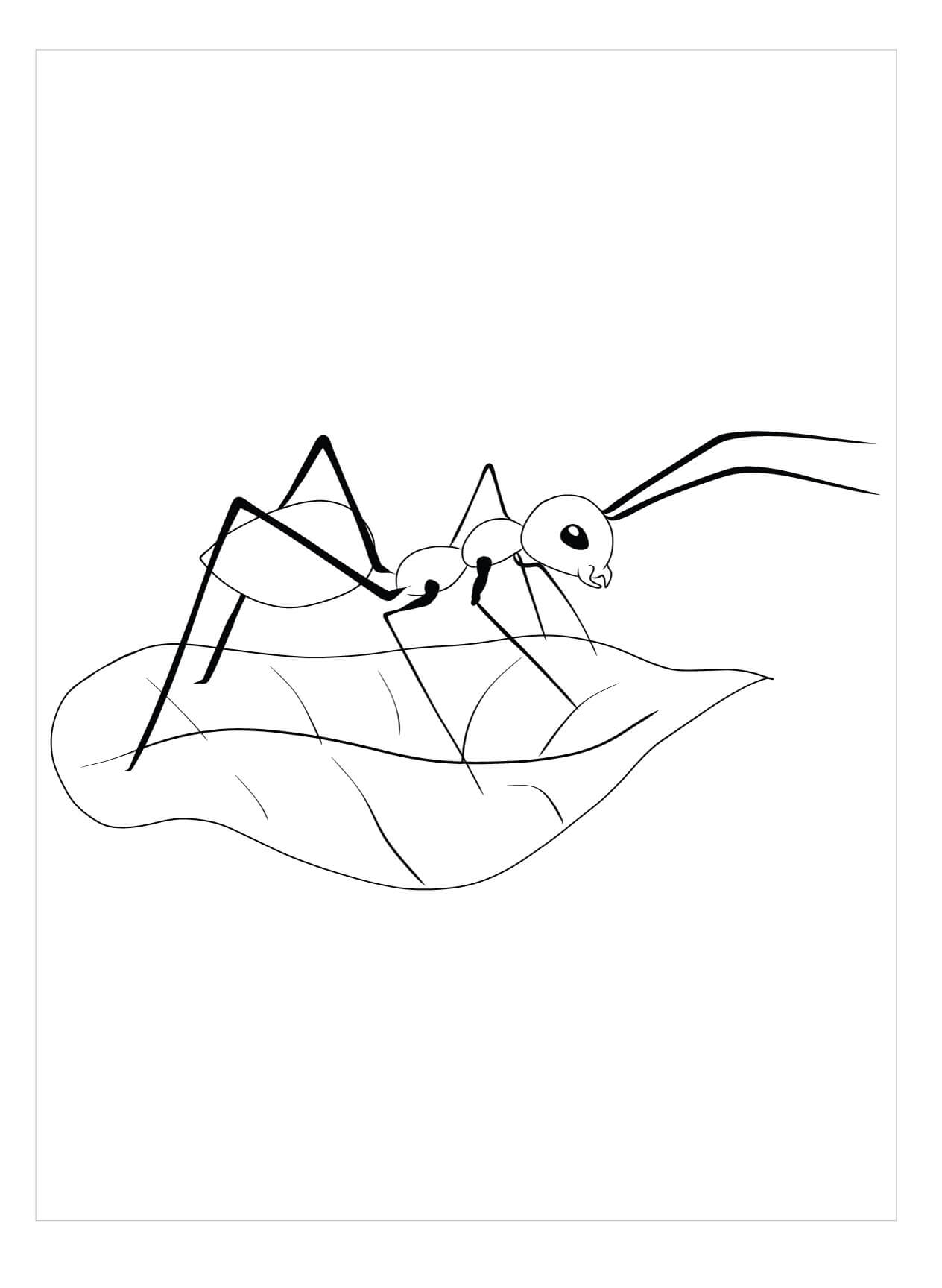 dibujo hormiga cortahojas para colorear