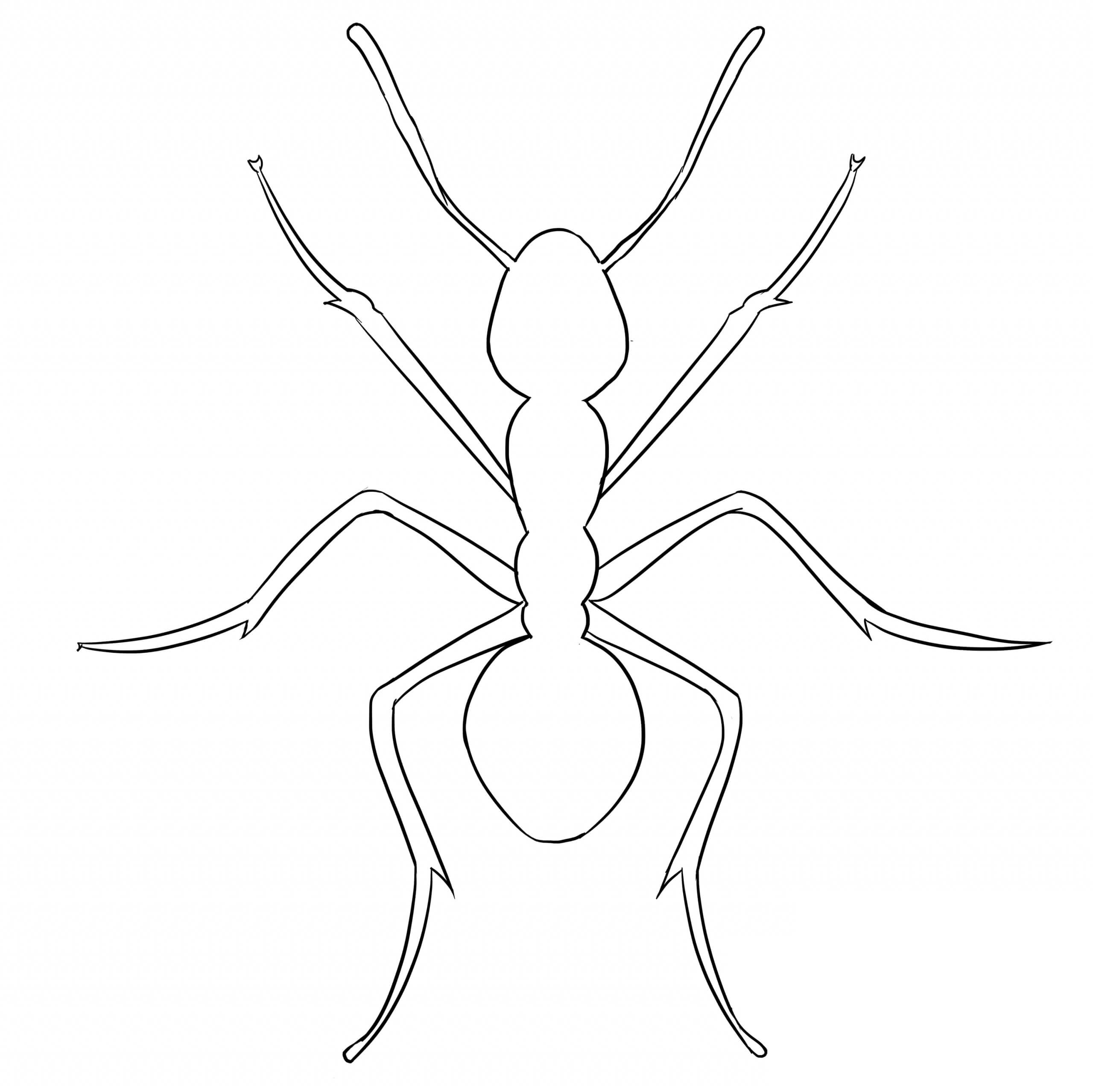 dibujo hormiga facil para colorear