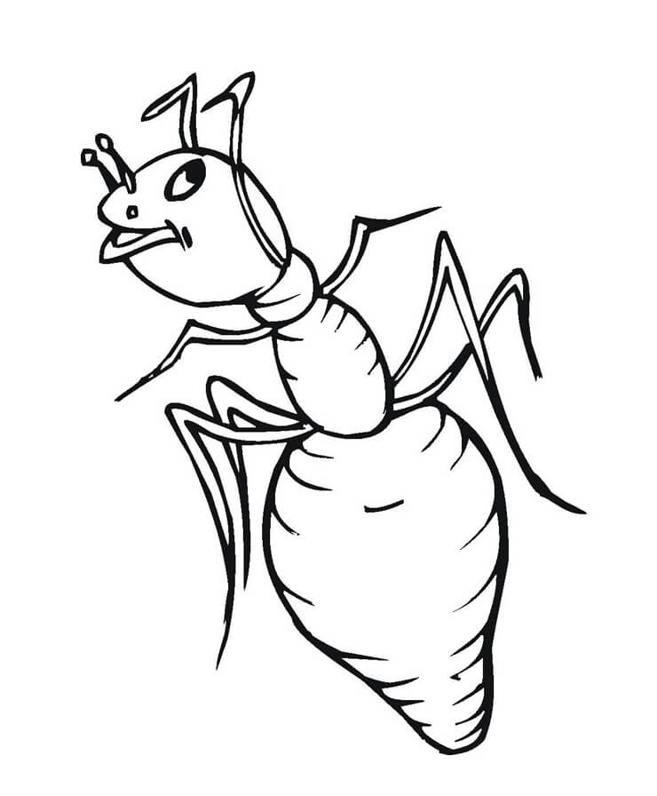 dibujo idea libre de hormigas para colorear