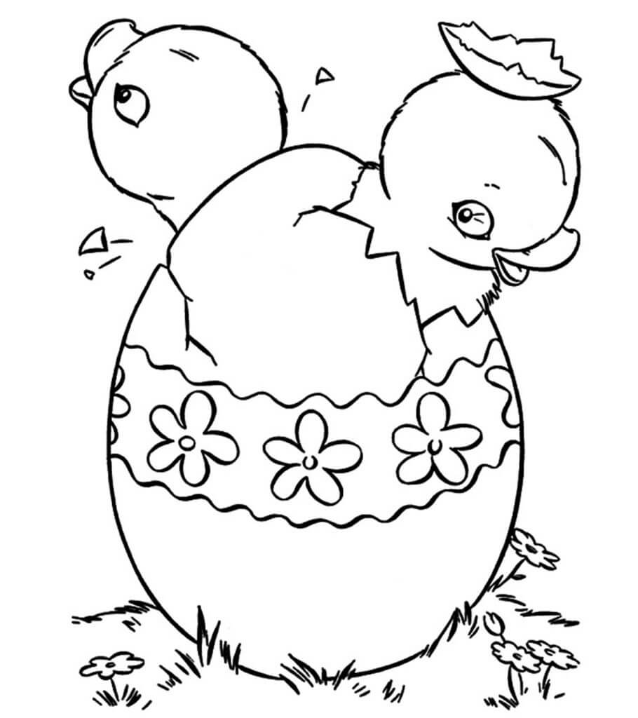 dibujo dos patos en huevo roto para colorear