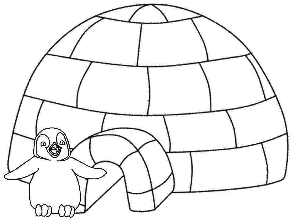 Dibujo de Pingüino e Iglu para Colorear y Imprimir