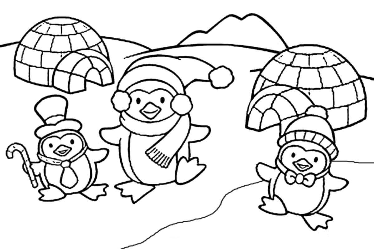 Dibujo de Tres Pingüinos y dos Iglus para Colorear y Imprimir