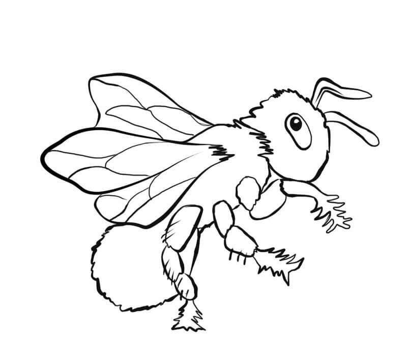 Dibujo de Abeja Fresca para Colorear y Imprimir