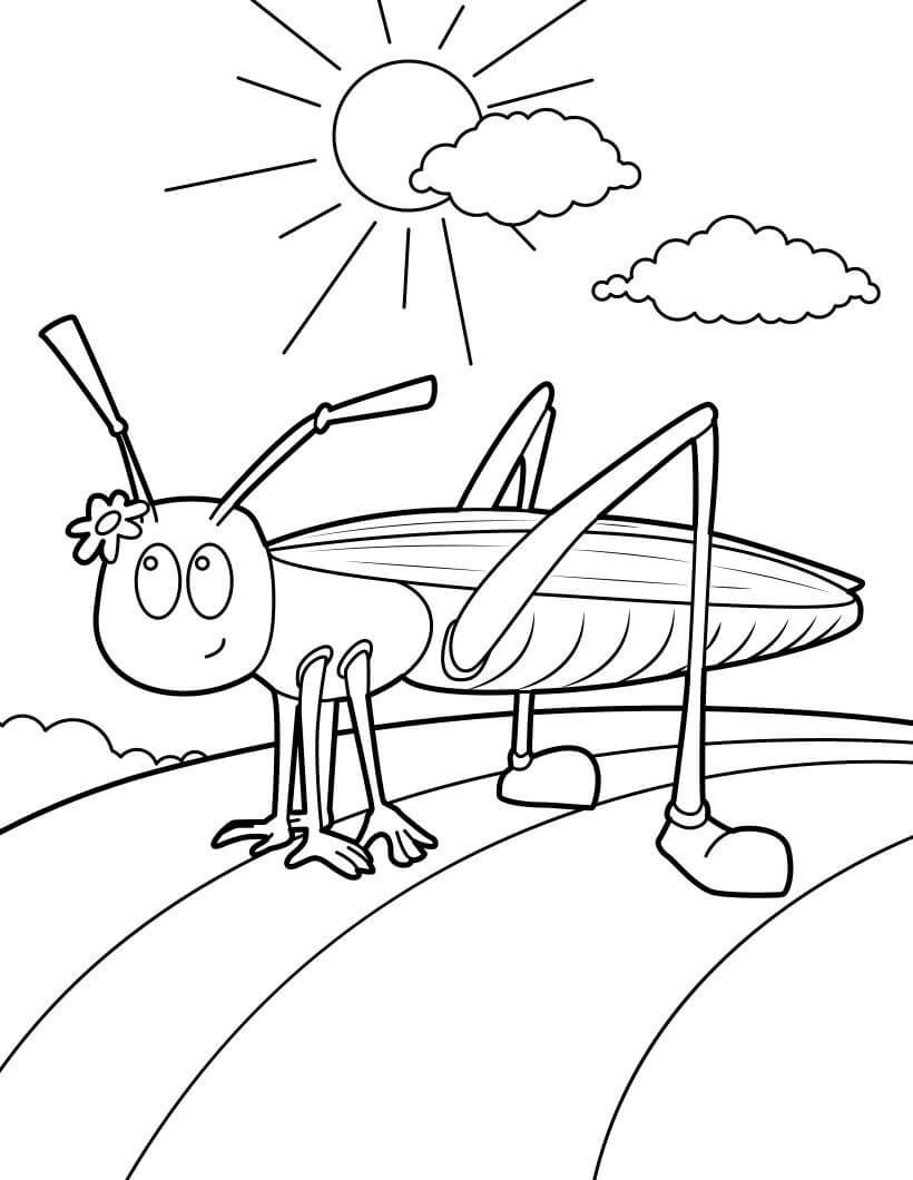 Dibujo de Cricket Encantador para Colorear y Imprimir