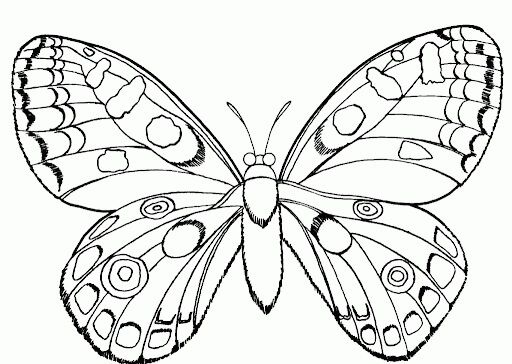 Dibujo de Hermosa Mariposa para Colorear y Imprimir