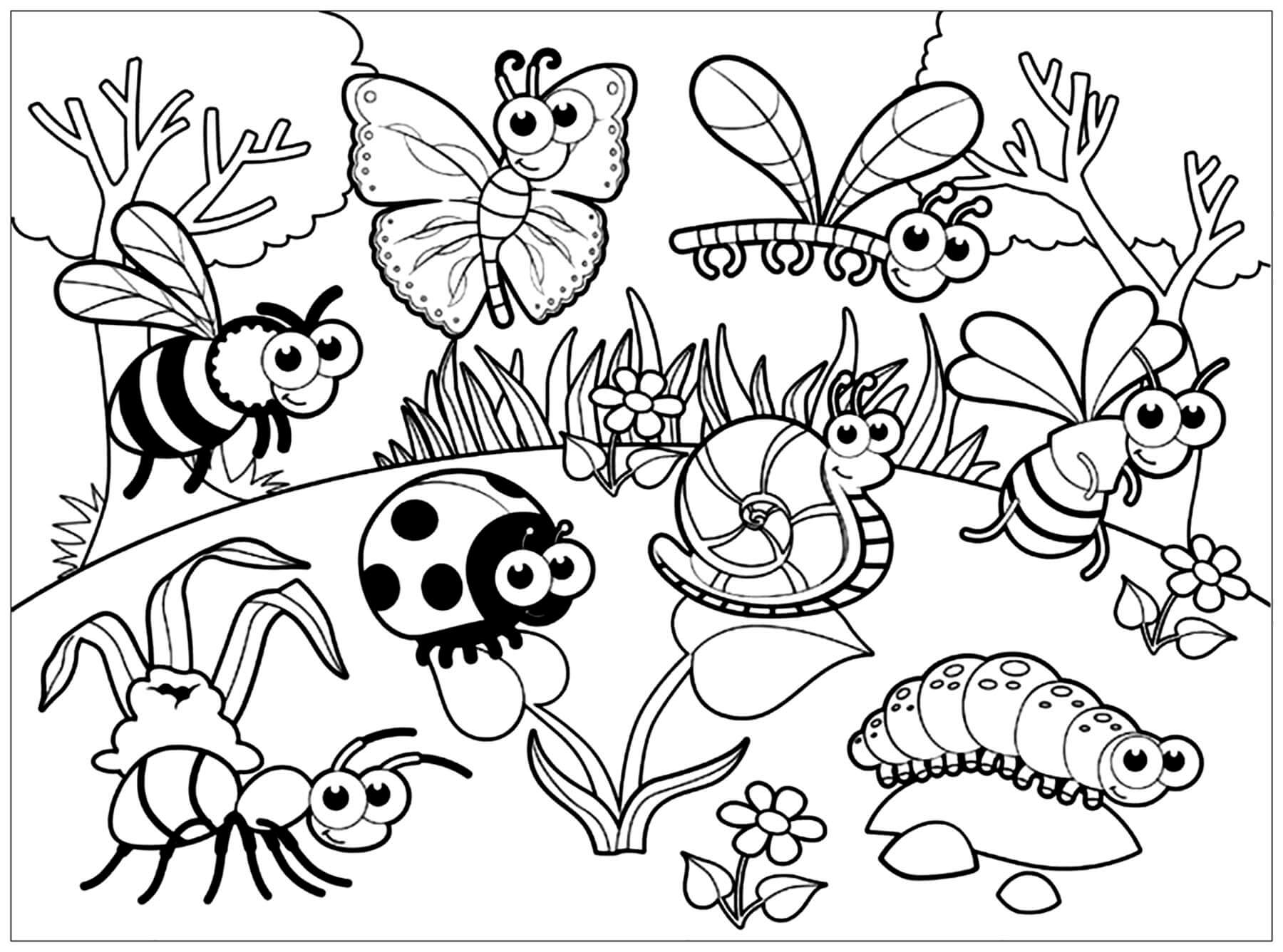 Dibujo de Insectos para Imprimir para Colorear y Imprimir