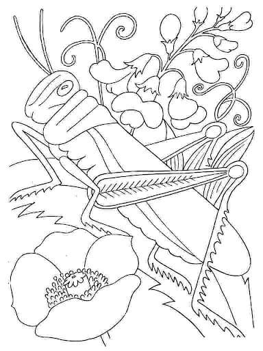 Dibujo de Saltamontes Fresco para Colorear y Imprimir